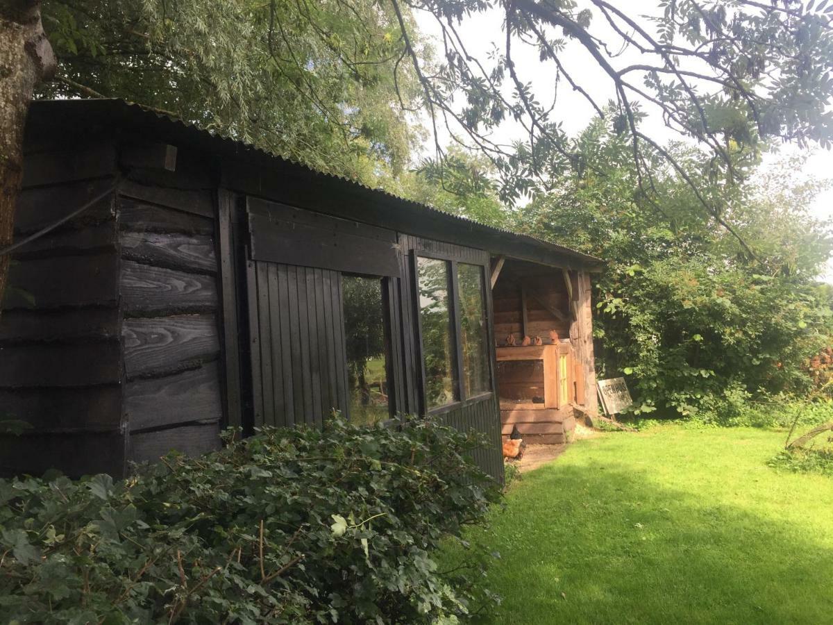 Maison d'hôtes Boerderij Met Atelier à Dalfsen Extérieur photo