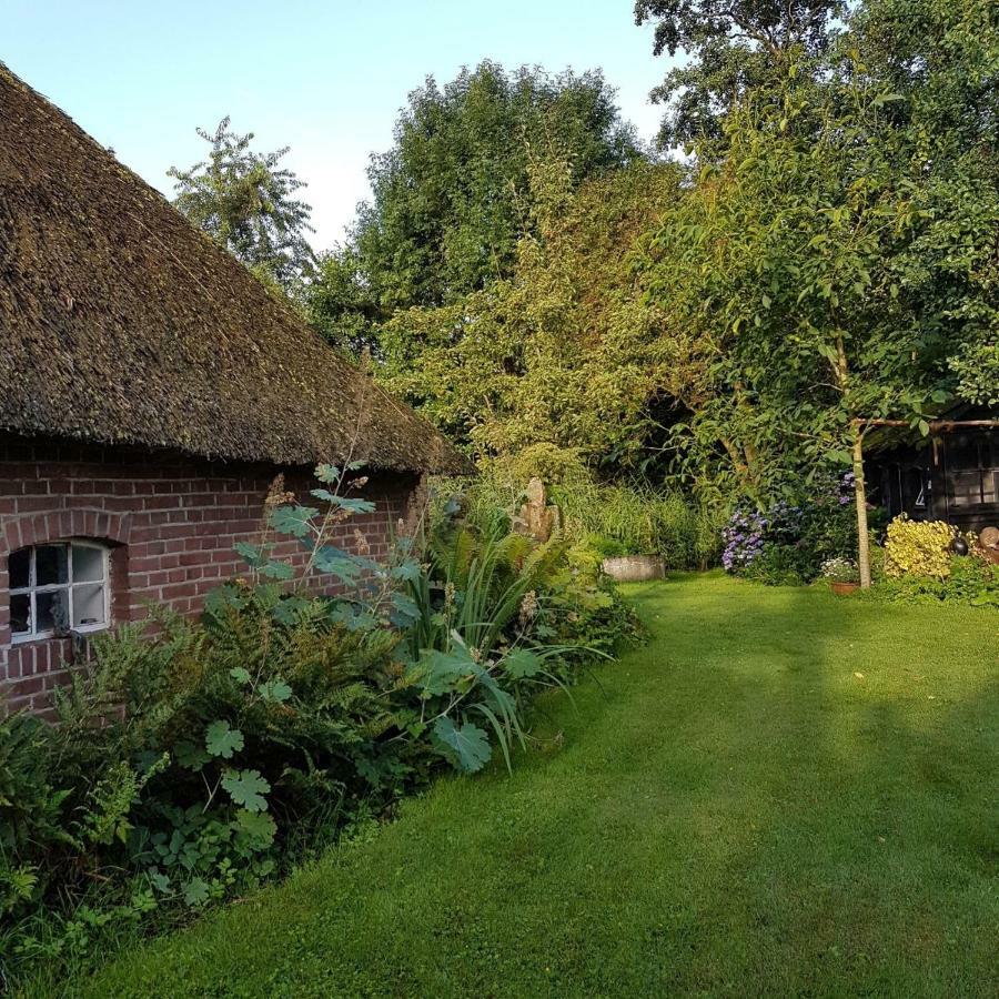 Maison d'hôtes Boerderij Met Atelier à Dalfsen Extérieur photo